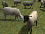 Kinematisch animierte Schafe a