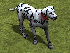 Hunde-Set - Dalmatiner
