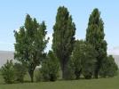 Kombinierte Baum- und Buschreihen (V10NRE10170 )