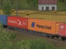 Containertragwagen Typ Sggnss Ermewa (V60NDB10461 ) Containertragwagen Typ Sggnss Ermewa (V60NDB10461 )