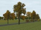 Herbstbäume und -büsche Set 1 (RE1423 )