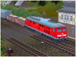 Diesellokomotiven DBAG BR 233, Epoche V