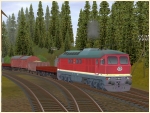 Diesellokomotiven DR BR 131, Epoche IV
