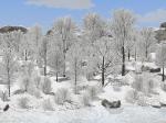 Winterliche Laubbume und Bsche
