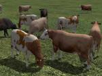Kinematisch animierte Kühe ab EEP 9.1