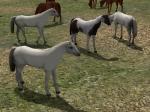 Kinematisch animierte Pferde ab EEP 9.1