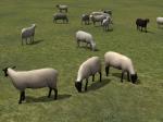 Kinematisch animierte Schafe ab EEP 9.1
