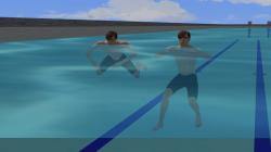  Schwimmer Wolfgang animiert als Rol im EEP-Shop kaufen