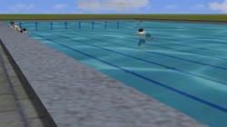 Schwimmer Wolfgang animiert als Rol im EEP-Shop kaufen Bild 6