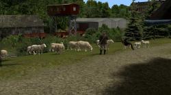  Sch�fer und Schafherde � Set 1 im EEP-Shop kaufen