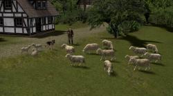 Sch�fer und Schafherde � Set 1 im EEP-Shop kaufen Bild 6