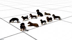 Hunde Set 1 � Dackel im EEP-Shop kaufen Bild 6