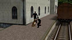  Hunde Set 2 - Gemischt im EEP-Shop kaufen