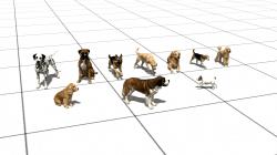 Hunde Set 2 - Gemischt im EEP-Shop kaufen Bild 6