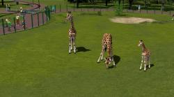  Tierpark � Wildtiere - Set 1 im EEP-Shop kaufen