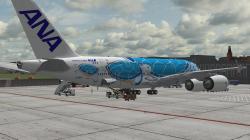 A380 JA38IA ( ANA ) im EEP-Shop kaufen Bild 6