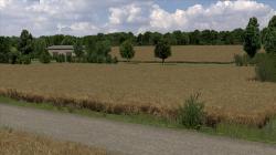  Raps-verbl�ht 2 im EEP-Shop kaufen