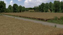  Raps-verbl�ht 2 im EEP-Shop kaufen