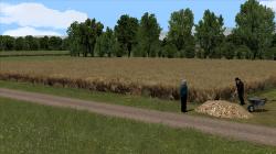 Raps-verbl�ht 2 im EEP-Shop kaufen Bild 6