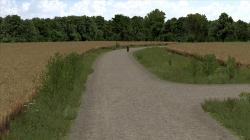 Raps-verbl�ht 2 im EEP-Shop kaufen Bild 6