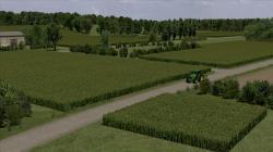  Maisfelder im EEP-Shop kaufen