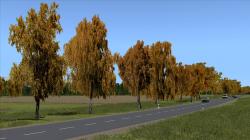  Herbstbirken im EEP-Shop kaufen