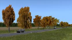 Herbstbirken im EEP-Shop kaufen Bild 6