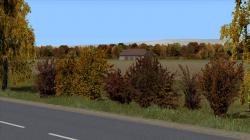  Herbstbsche im EEP-Shop kaufen