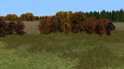 Herbstbsche im EEP-Shop kaufen Bild 6