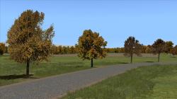  Herbstliche Linden, Kirschbume und im EEP-Shop kaufen