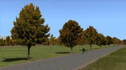 Herbstliche Linden, Kirschbume und im EEP-Shop kaufen Bild 6