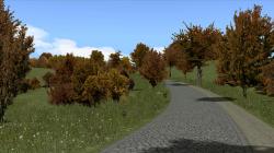 Herbstliche Linden, Kirschbume und im EEP-Shop kaufen Bild 6