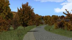 Herbstliche Linden, Kirschbume und im EEP-Shop kaufen Bild 6