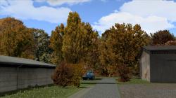 Herbstliche Linden, Kirschbume und im EEP-Shop kaufen Bild 6