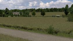  Raps verbl�ht im EEP-Shop kaufen