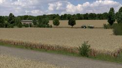  Roggen-gereift im EEP-Shop kaufen