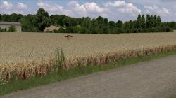  Roggen-gereift im EEP-Shop kaufen