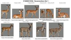 Savannentiere - Set 1 im EEP-Shop kaufen Bild 6