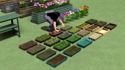Kleines Gew�chshaus im EEP-Shop kaufen Bild 6