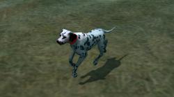 Hunde-Set - Dalmatiner im EEP-Shop kaufen Bild 6