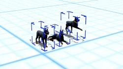Hunde-Set - Dobermann im EEP-Shop kaufen Bild 6