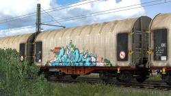  Schiebeplanenwagen | Shimmns | Rail im EEP-Shop kaufen