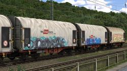Schiebeplanenwagen | Shimmns | Rail im EEP-Shop kaufen Bild 6