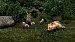 Wo sich Fuchs und Dachs Gute Nacht  im EEP-Shop kaufen Bild 6