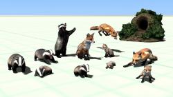 Wo sich Fuchs und Dachs Gute Nacht  im EEP-Shop kaufen Bild 6