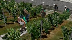  Weinleser und Winzer bei der Arbeit im EEP-Shop kaufen