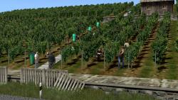 Weinleser und Winzer bei der Arbeit im EEP-Shop kaufen Bild 6