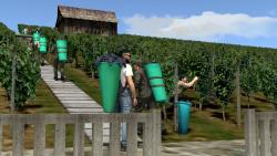 Weinleser und Winzer bei der Arbeit im EEP-Shop kaufen Bild 6