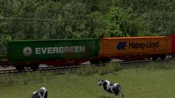 6-achsiger Containertragwagen Sggrs im EEP-Shop kaufen Bild 6