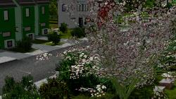  B�ume Set 1 im EEP-Shop kaufen